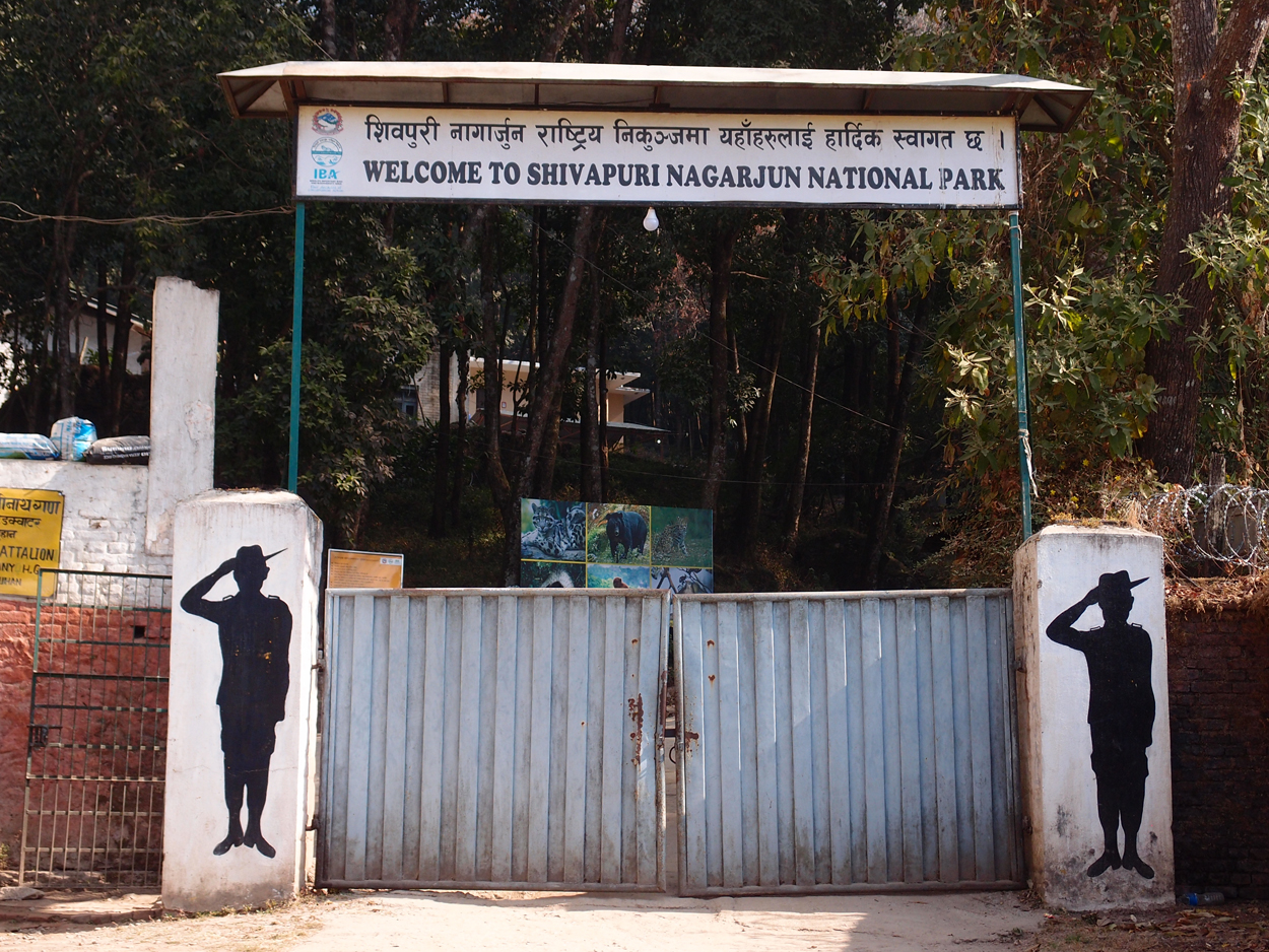 2018-01-16 12 Uhr - Im Shivapuri Nagarjun National Park (Nagi Gumba) (Foto) 